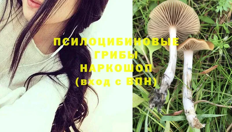 Галлюциногенные грибы Magic Shrooms  Лакинск 